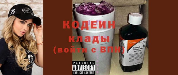 стаф Вязьма