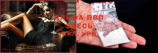 spice Вяземский