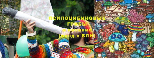 стаф Вязьма