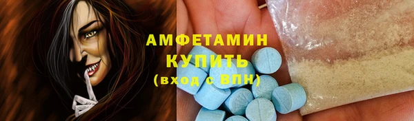 стаф Вязьма
