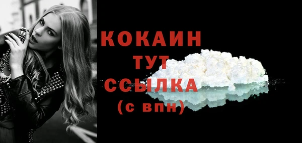 стаф Вязьма
