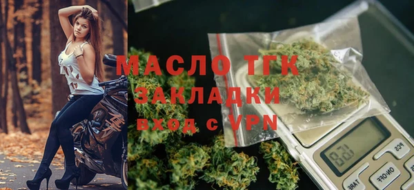 стаф Вязьма