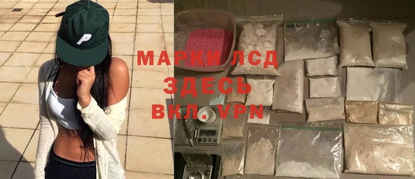 стаф Вязьма