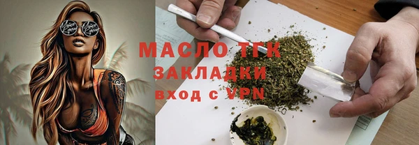 стаф Вязьма