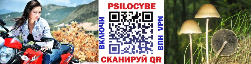 Псилоцибиновые грибы Magic Shrooms  KRAKEN рабочий сайт  Энем 