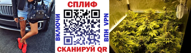 Бошки Шишки SATIVA & INDICA Энем